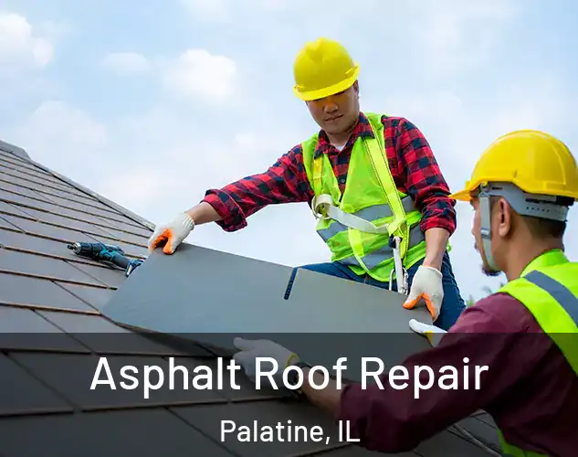  Asphalt Roof Repair Palatine, IL