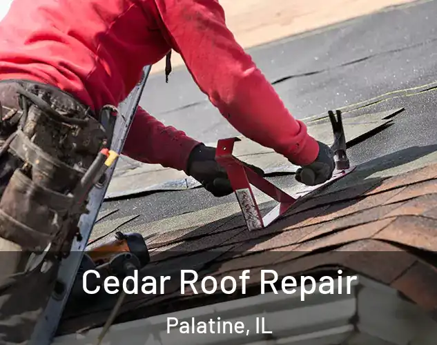  Cedar Roof Repair Palatine, IL