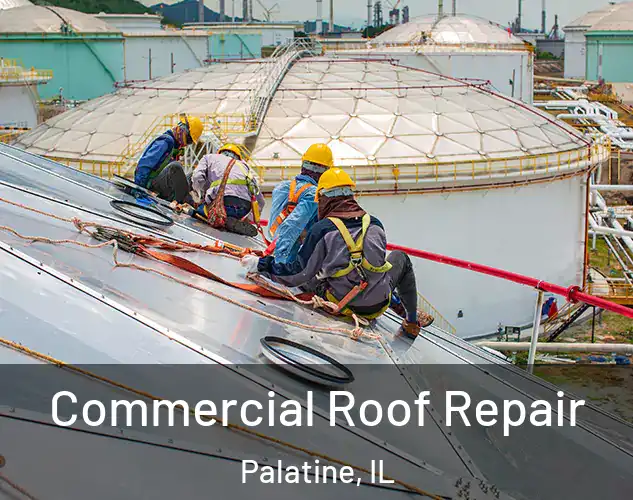  Commercial Roof Repair Palatine, IL