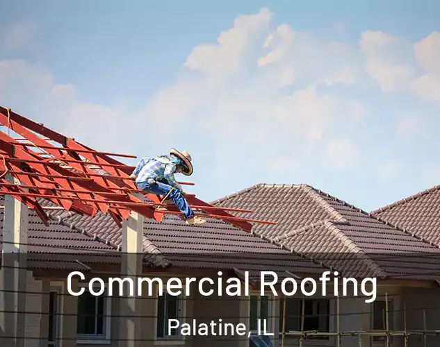  Commercial Roofing Palatine, IL