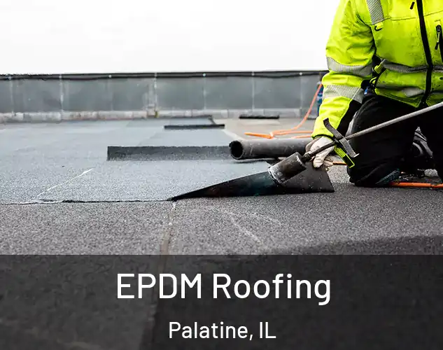  EPDM Roofing Palatine, IL