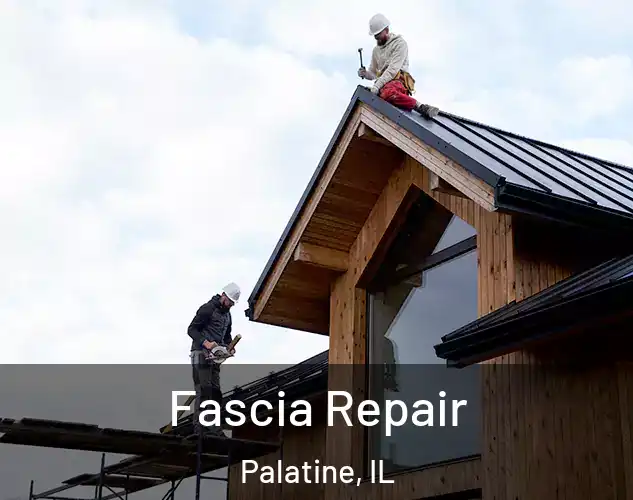  Fascia Repair Palatine, IL
