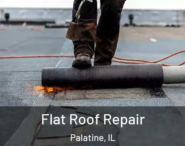  Flat Roof Repair Palatine, IL