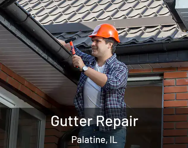  Gutter Repair Palatine, IL