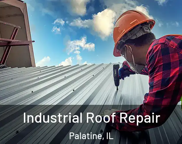  Industrial Roof Repair Palatine, IL