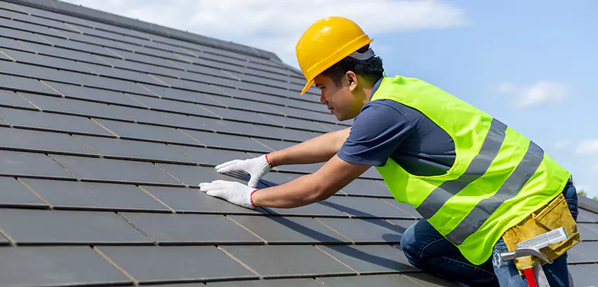 Professional Hail Damage Roof Repair Services in Palatine, IL