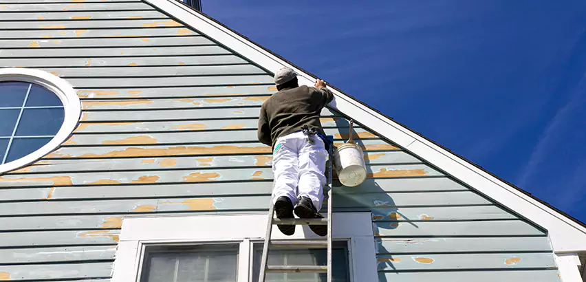 Professional Roof and Siding Repair Services in Palatine, IL