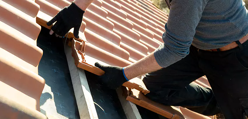 Professional Tile Roof Restoration Services in Palatine, IL