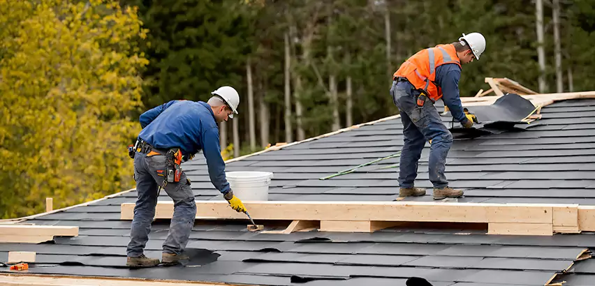 Architectural Shingle Repair Palatine