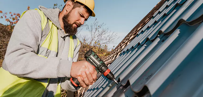 Residential Roof Leak Repair in Palatine