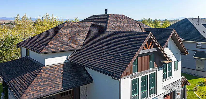 Residential Shingle Roofing in Palatine