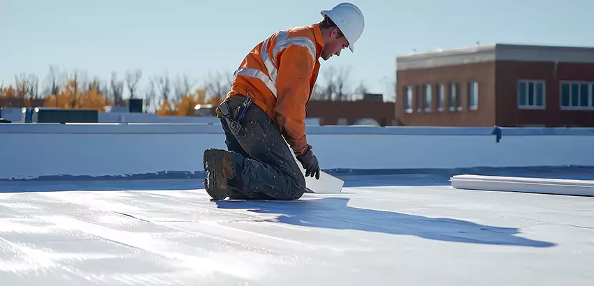 Commercial Roof Coating in Palatine