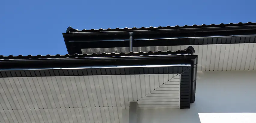 Roof Overhang Repair in Palatine