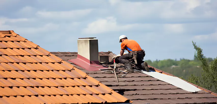 Cedar Roof Maintenance in Palatine