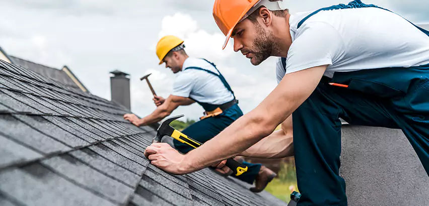 Emergency Shingle Repair in Palatine