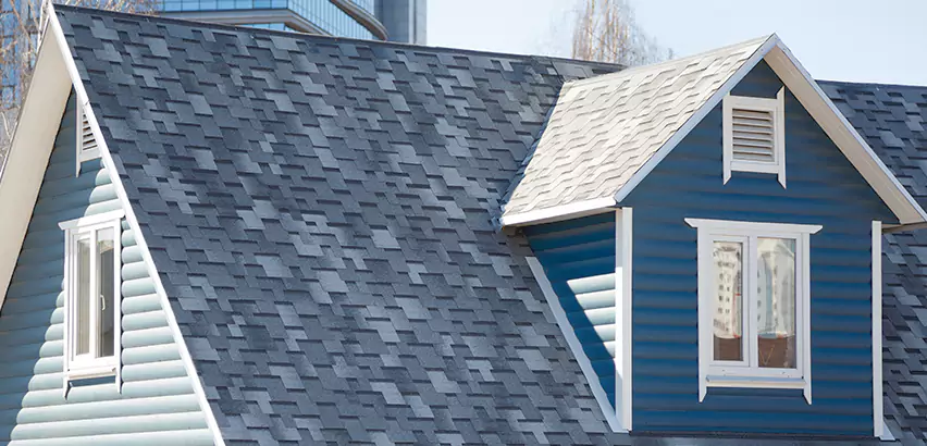 Shingle Roof Maintenance in Palatine