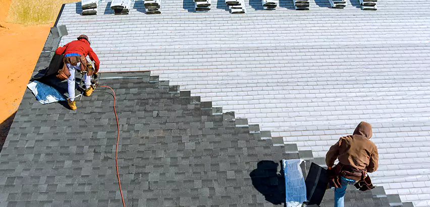Cement Tile Roof Restoration in Palatine