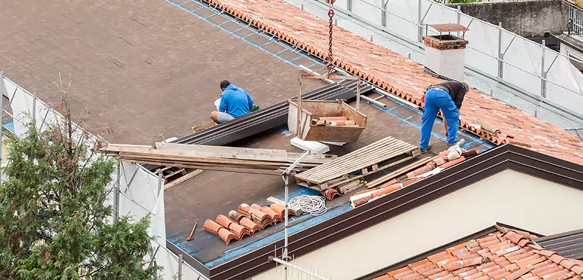 Tile Roof Restoration in Palatine