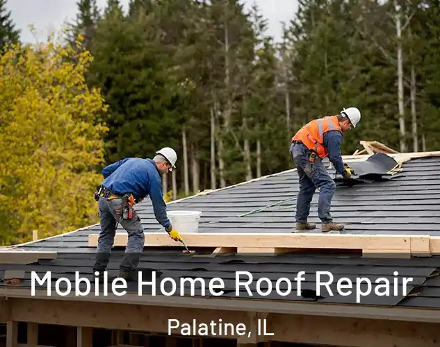  Mobile Home Roof Repair Palatine, IL