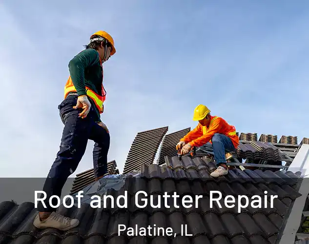  Roof and Gutter Repair Palatine, IL