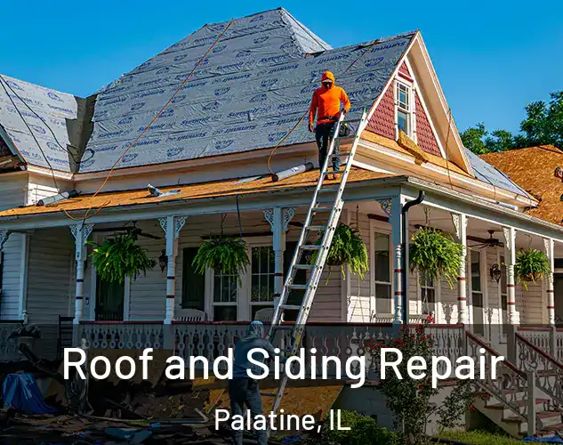  Roof and Siding Repair Palatine, IL