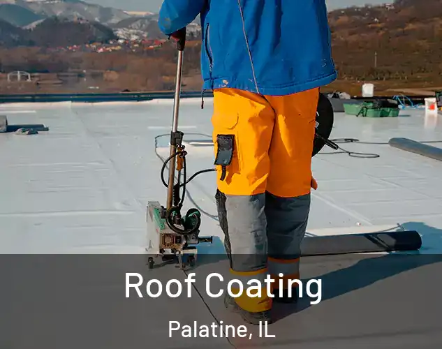 Roof Coating Palatine, IL