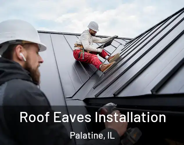  Roof Eaves Installation Palatine, IL