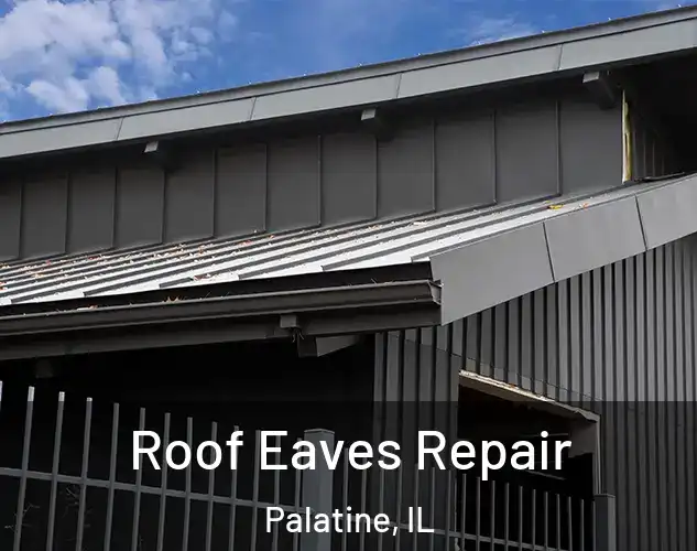  Roof Eaves Repair Palatine, IL