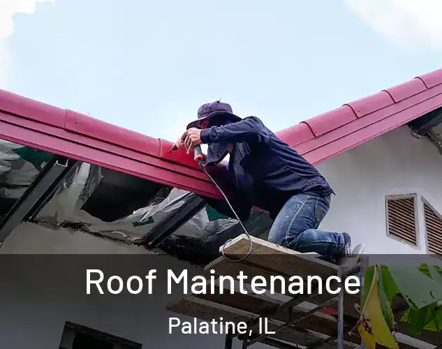  Roof Maintenance Palatine, IL
