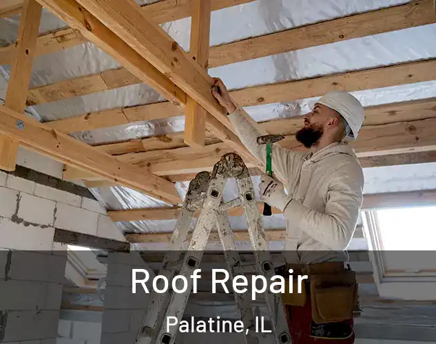  Roof Repair Palatine, IL