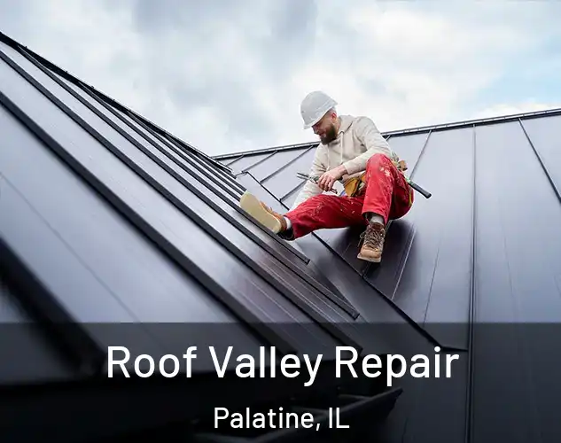  Roof Valley Repair Palatine, IL