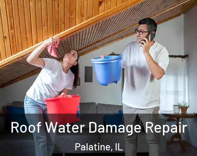  Roof Water Damage Repair Palatine, IL