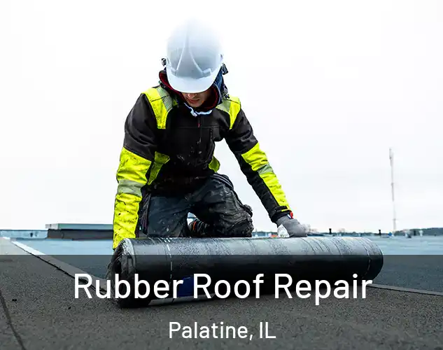  Rubber Roof Repair Palatine, IL