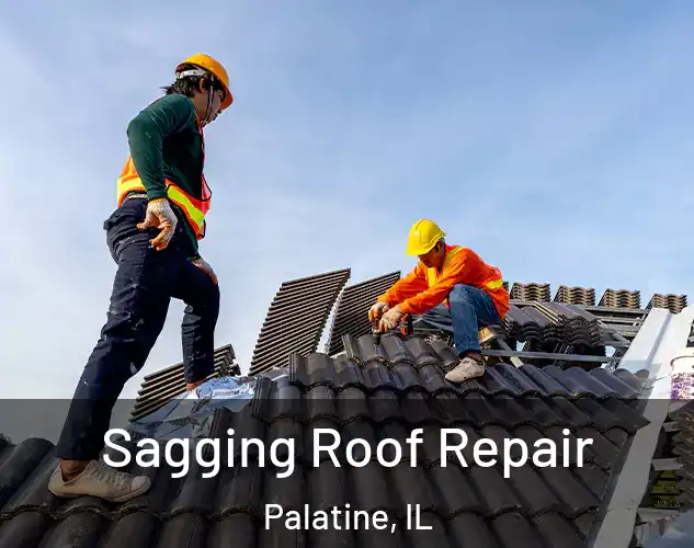  Sagging Roof Repair Palatine, IL