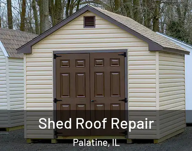  Shed Roof Repair Palatine, IL