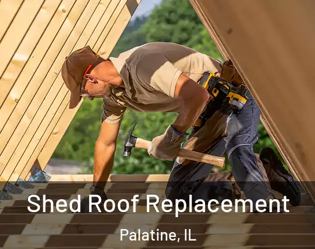  Shed Roof Replacement Palatine, IL