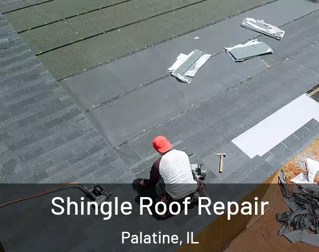  Shingle Roof Repair Palatine, IL