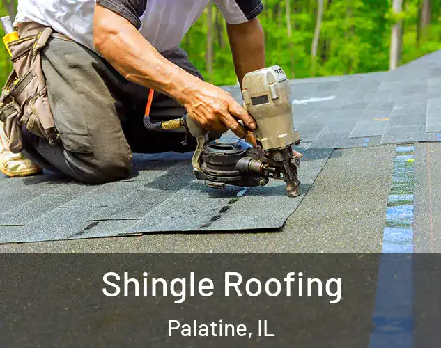  Shingle Roofing Palatine, IL