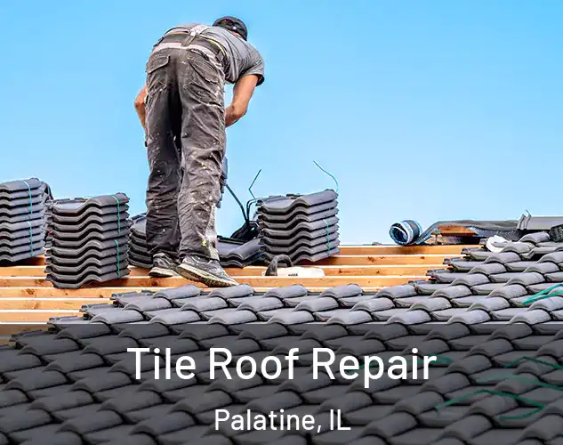  Tile Roof Repair Palatine, IL