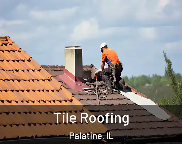  Tile Roofing Palatine, IL