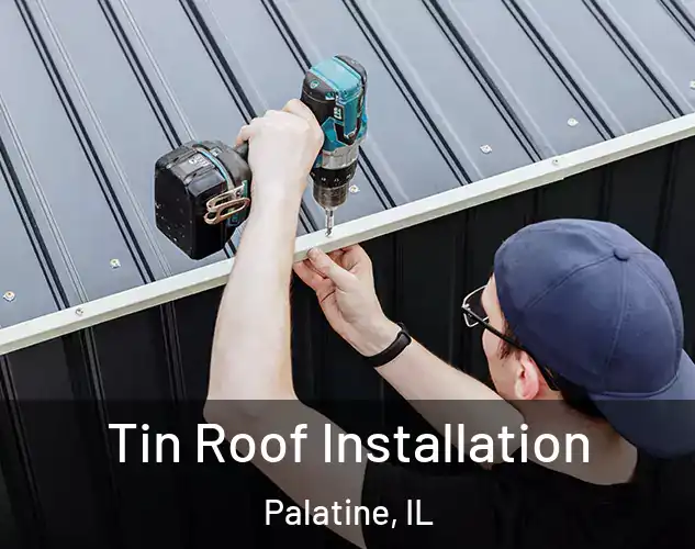  Tin Roof Installation Palatine, IL
