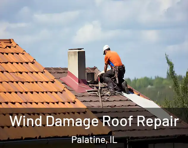  Wind Damage Roof Repair Palatine, IL
